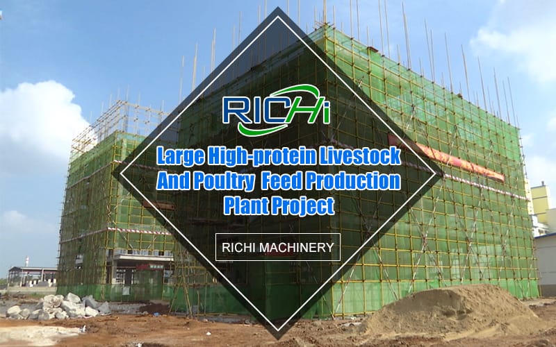 The project with an annual output of 400,000 tons of high-protein livestock and poultry feed enters the main structure construction