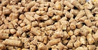 Cattle Feed Pellet Production Line