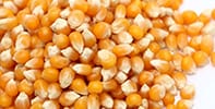 Pig Feed Pellet Production Line