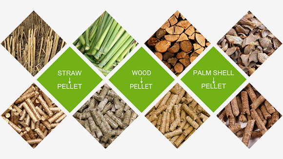 Wood Pellet Mill | Biomass Pellet Machine Manufacturer