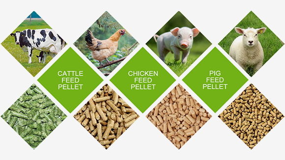 1-20TPH Animal Feed Pellet Mill Machine for Sale