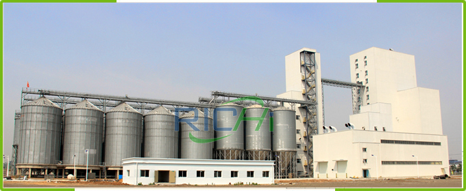 10t/h fish feed production line