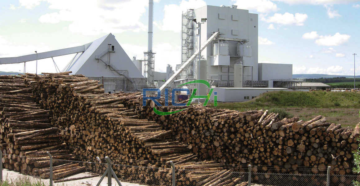 8-10T/H Complete Wood Pellet Production Line