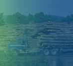 wood pellet mill in Asia