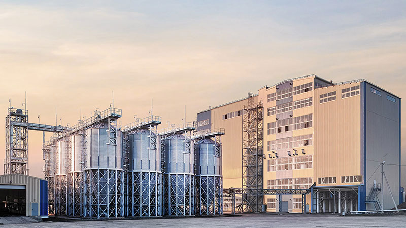 feed plant
