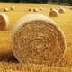 Haystack Pellet Production Line