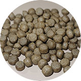 carp pellet feed