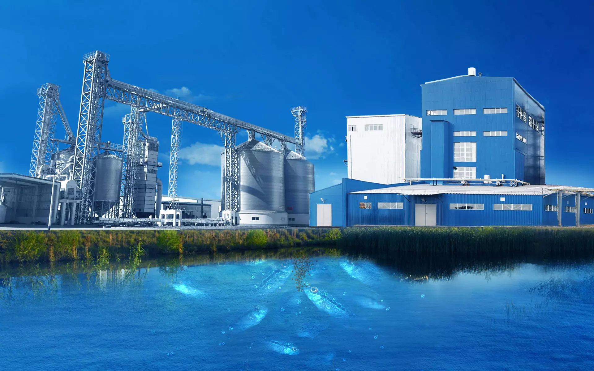 Fish Feed Production Line