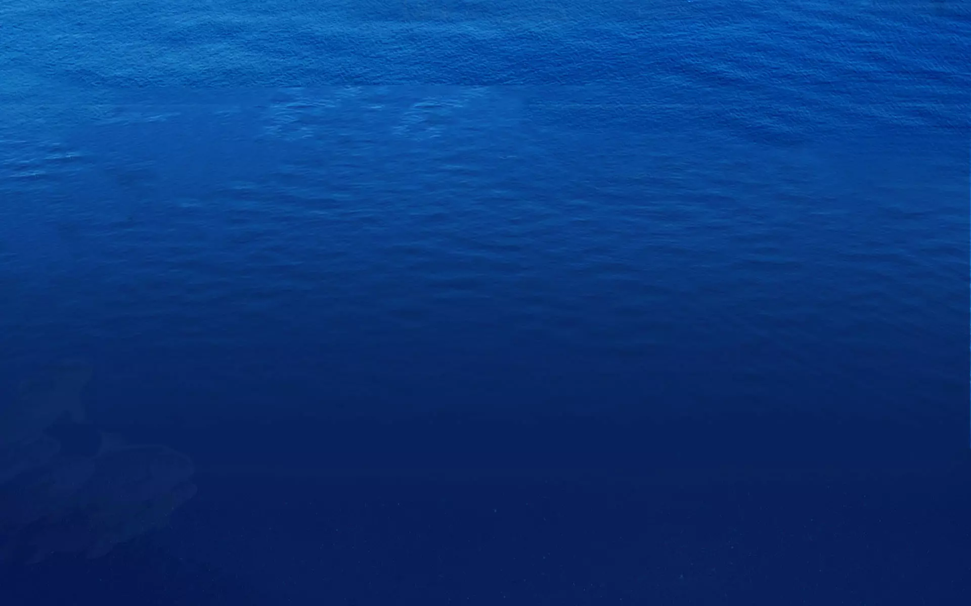 fish feed production line