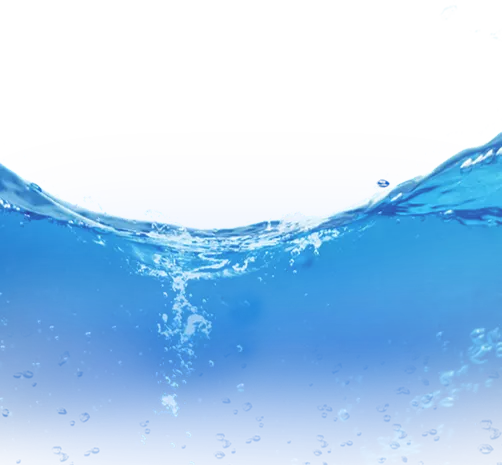 1 T/H Fish Feed Production Line