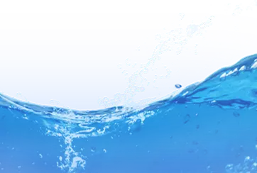 0.5 T/H Fish Feed Production Line