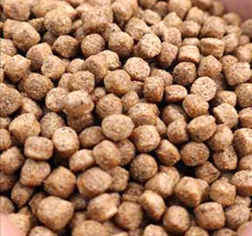 fish feed pellet