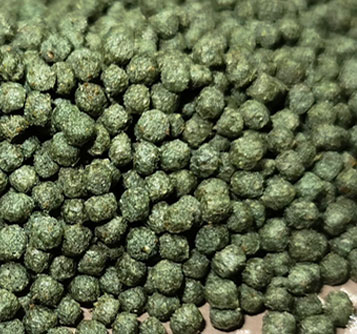 fish feed pellet