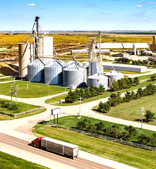 5 T/H Fish Feed Production Line