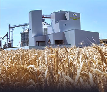 1-1.2 T/H Fish Feed Production Line