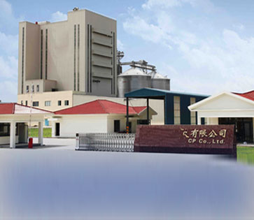 2.5-5 T/H Fish Feed Production Line