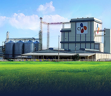 10 T/H Fish Feed Production Line