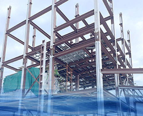 5T/H Shrimp&2T/H Floating Fish Feed Production Line