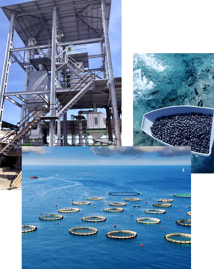 Customized Solutions Fish Floating Feed Production Line