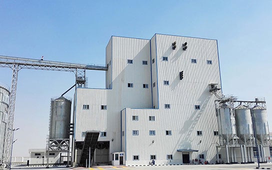 10 Tons Per Hour Turnkey Poultry Chicken Pellet Feed Manufacturing Plant Project In
                            Uzbekistan