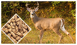 Ruminant Feed Production Line For Deer Feed