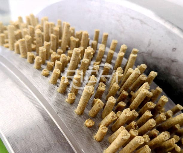 स्टेनलेस स्टील रिंग डाई