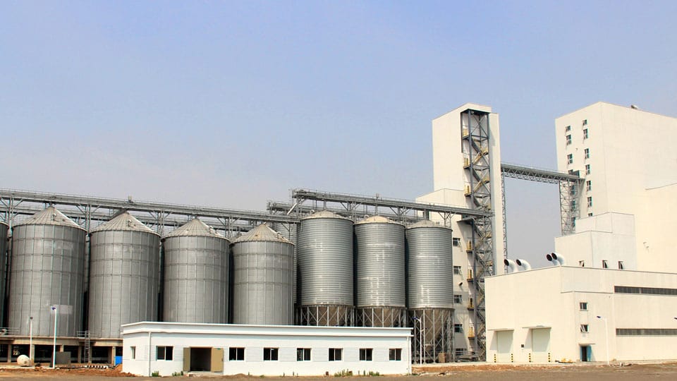 10T / H Cattle Feed Pellet Linia de producție