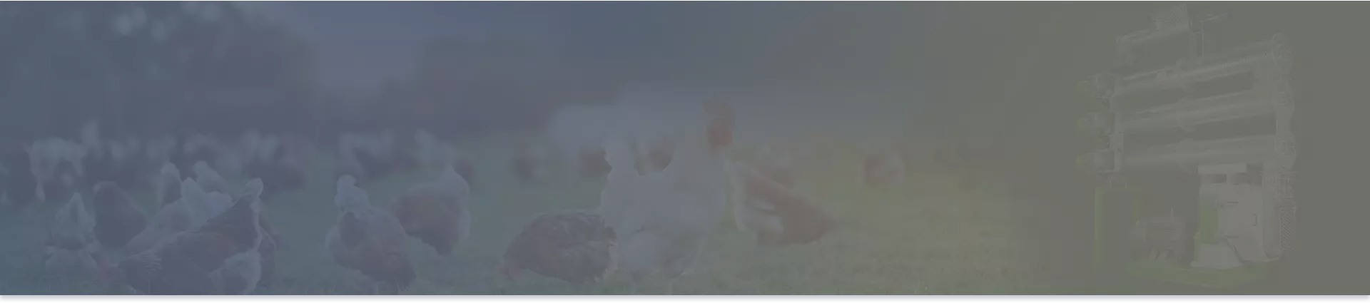 feed pellet machine banner