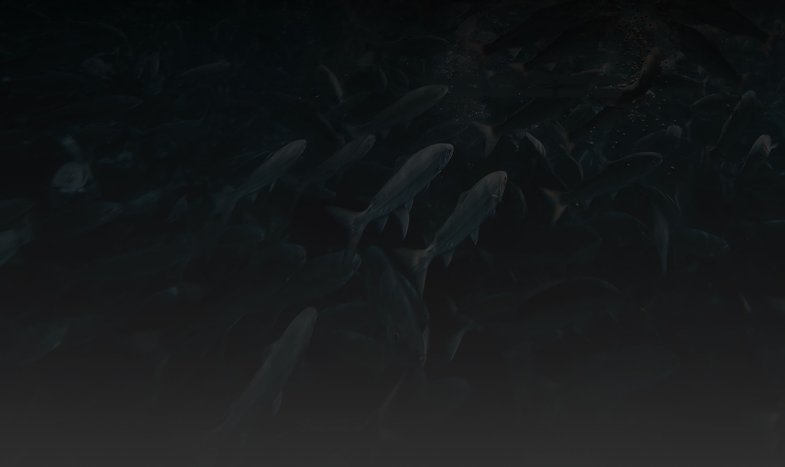 aquatic feed plant background