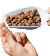 fish feed pellet