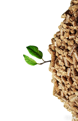 organic fertilizer pellets