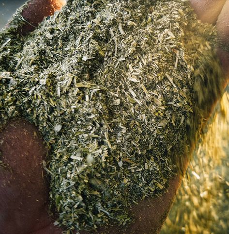 raw material selection