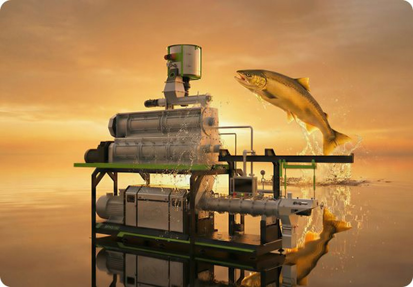 रिकी मछली चारा मशीन 845x587