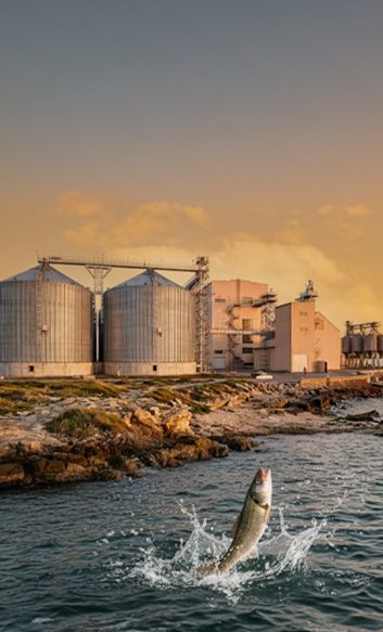 aquatic feed production