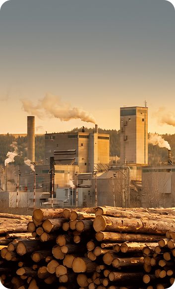 biomass energy pellet production