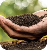 manure mixture for fertilizing