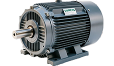 Siemens Motors