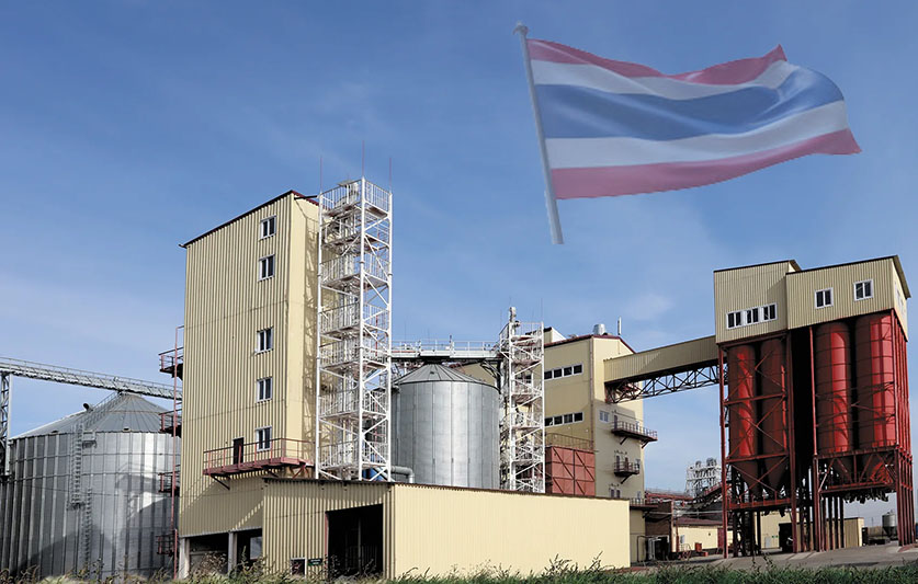 Thailand Organic Fertilizer Granule Production Line