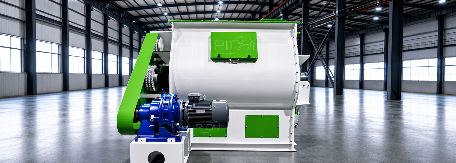 twin shaft paddle mix in richi factory