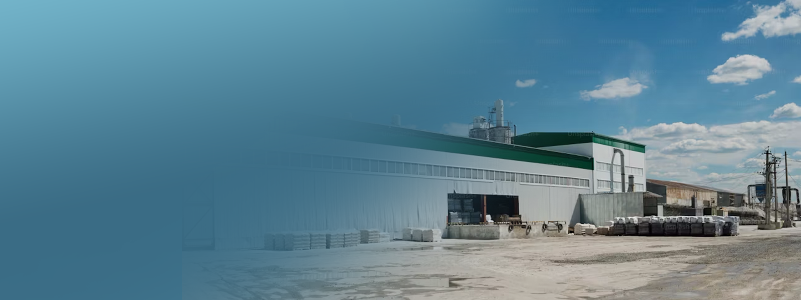 2 tons per hour fish feed processing plant in Nigeria