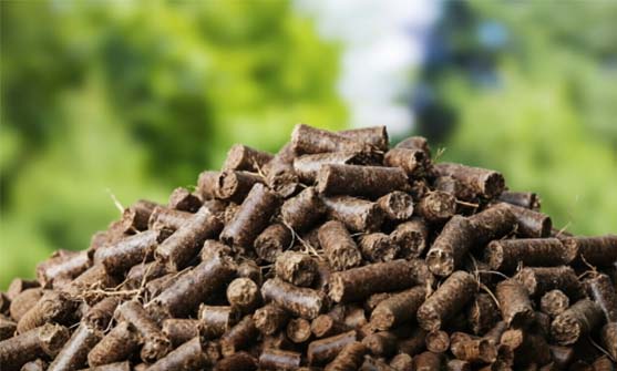Pellets de abono orgánico